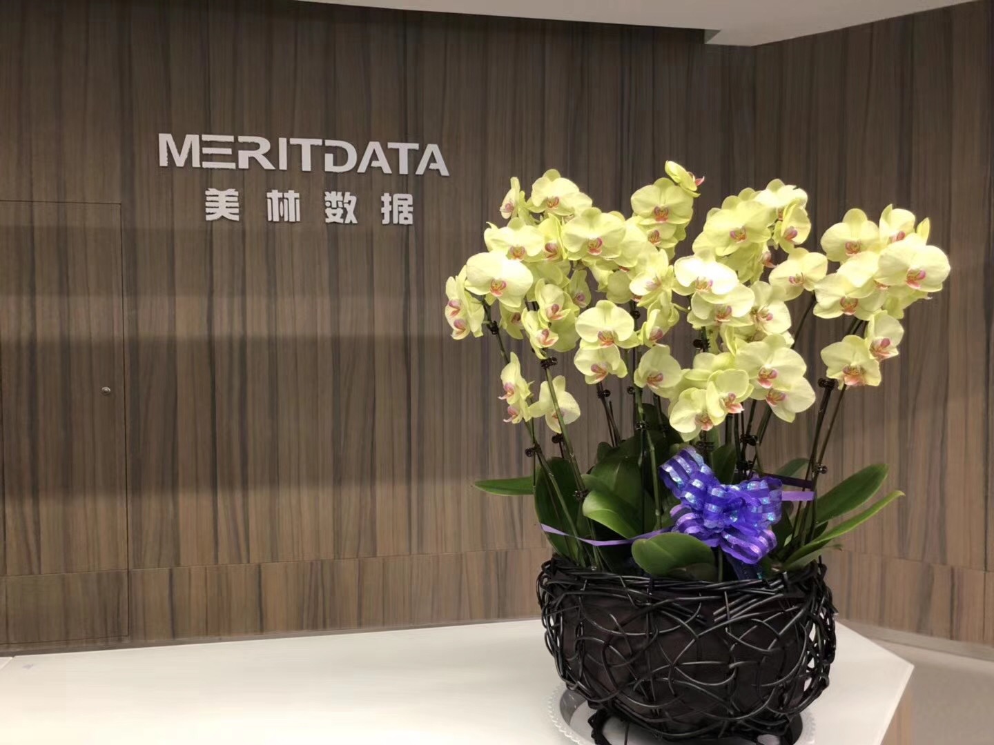 美林数据写入西安市“十三五”工业发展规划，肩负助推区域大数据产业发展重任
